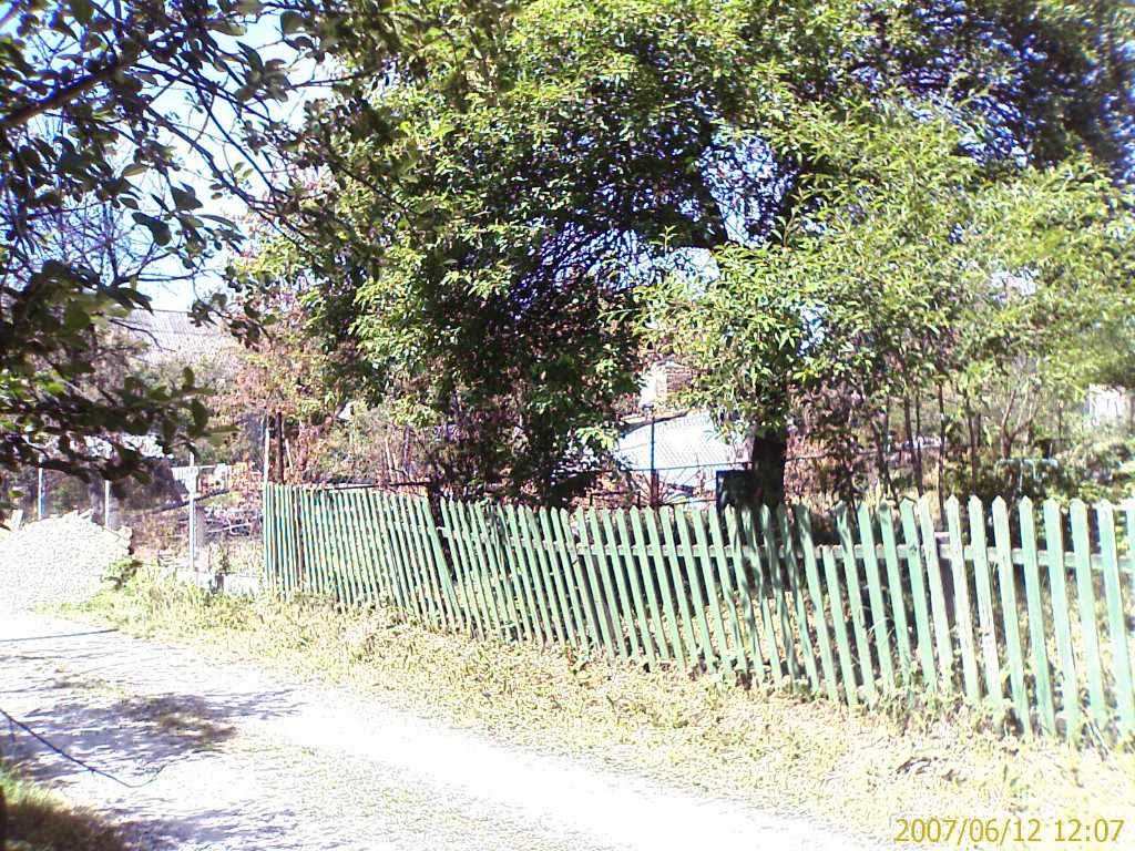 Дача, 2007, Дневник инвалида Саши