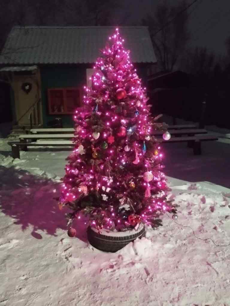 Рождество, 2026, Дневник инвалида Саши