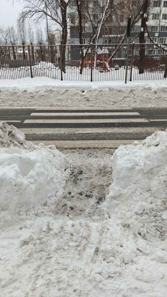 Зебра, 2026, Дневник инвалида Саши