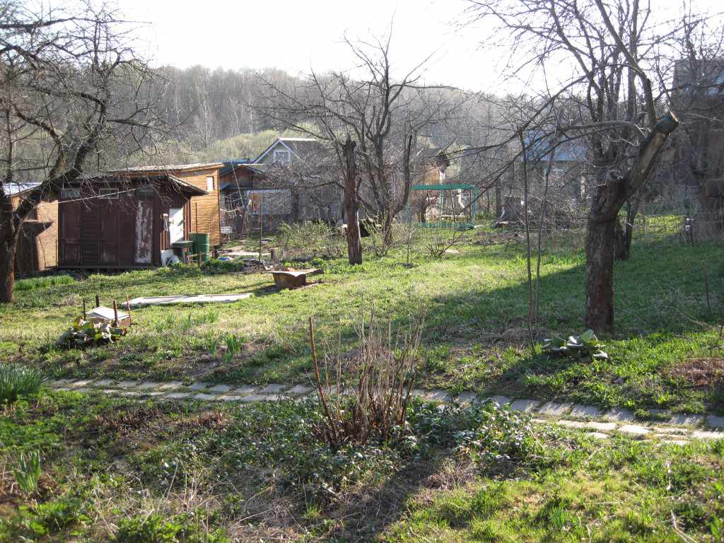 Дача, 2009, Дневник инвалида Саши