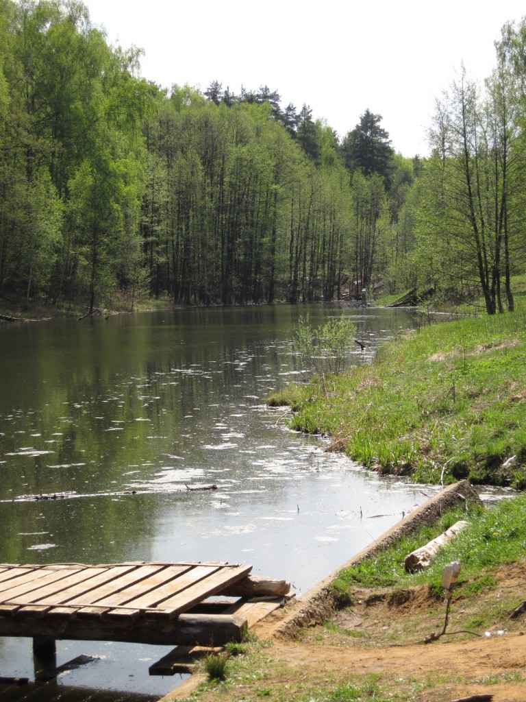 Дача, 2009, Дневник инвалида Саши