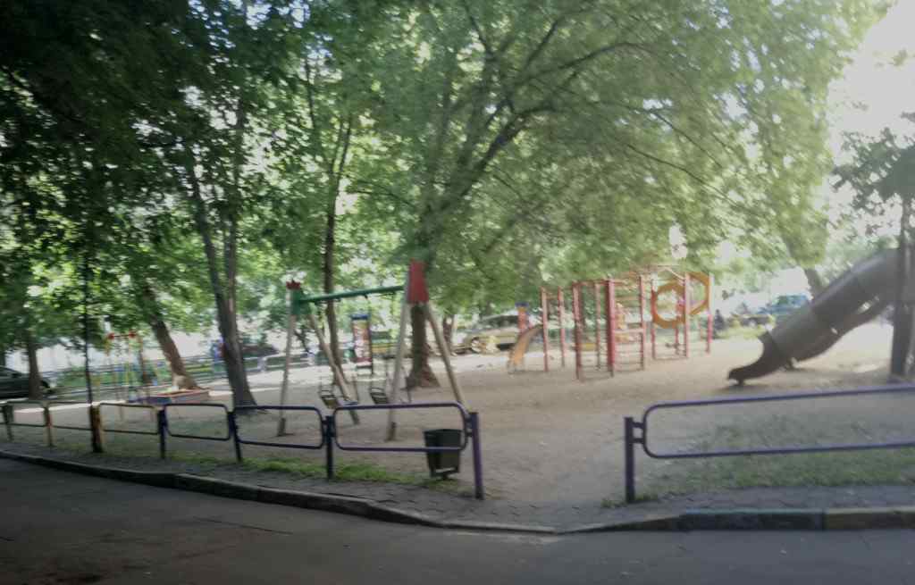 Двор, 2018, Дневник инвалида Саши