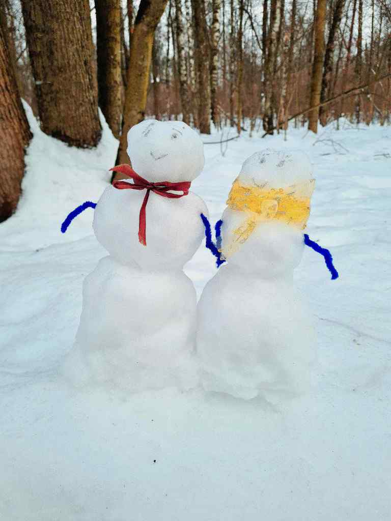 Зима, 2026, Дневник инвалида Саши