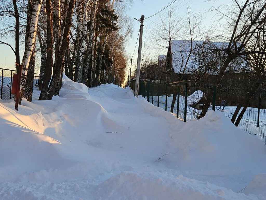 Дача, 2026, Дневник инвалида Саши