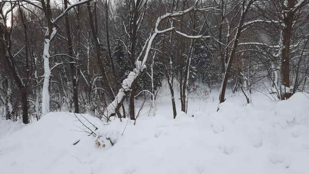 Дача, 2022, Дневник инвалида Саши