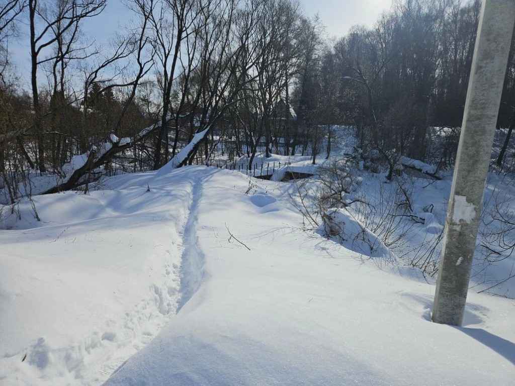 Дача, 2026, Дневник инвалида Саши