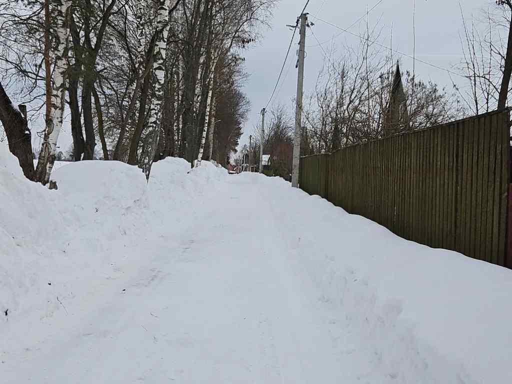 Дача, 2026, Дневник инвалида Саши