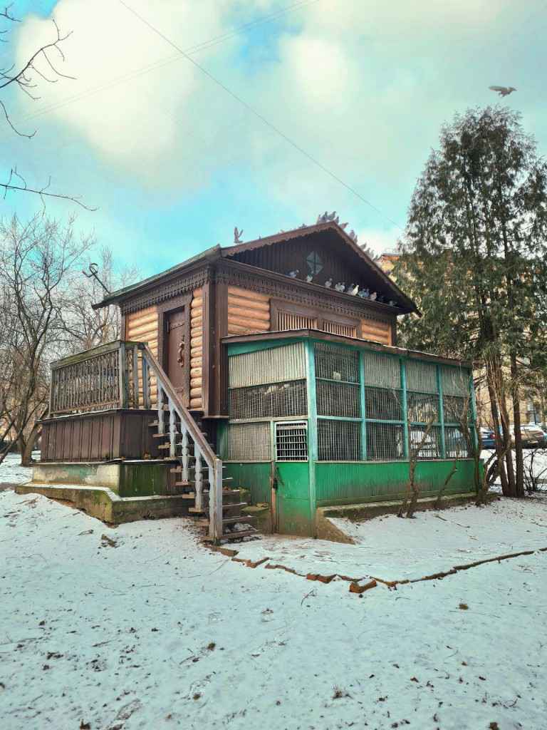 Голубятня, 1957, Дневник инвалида Саши