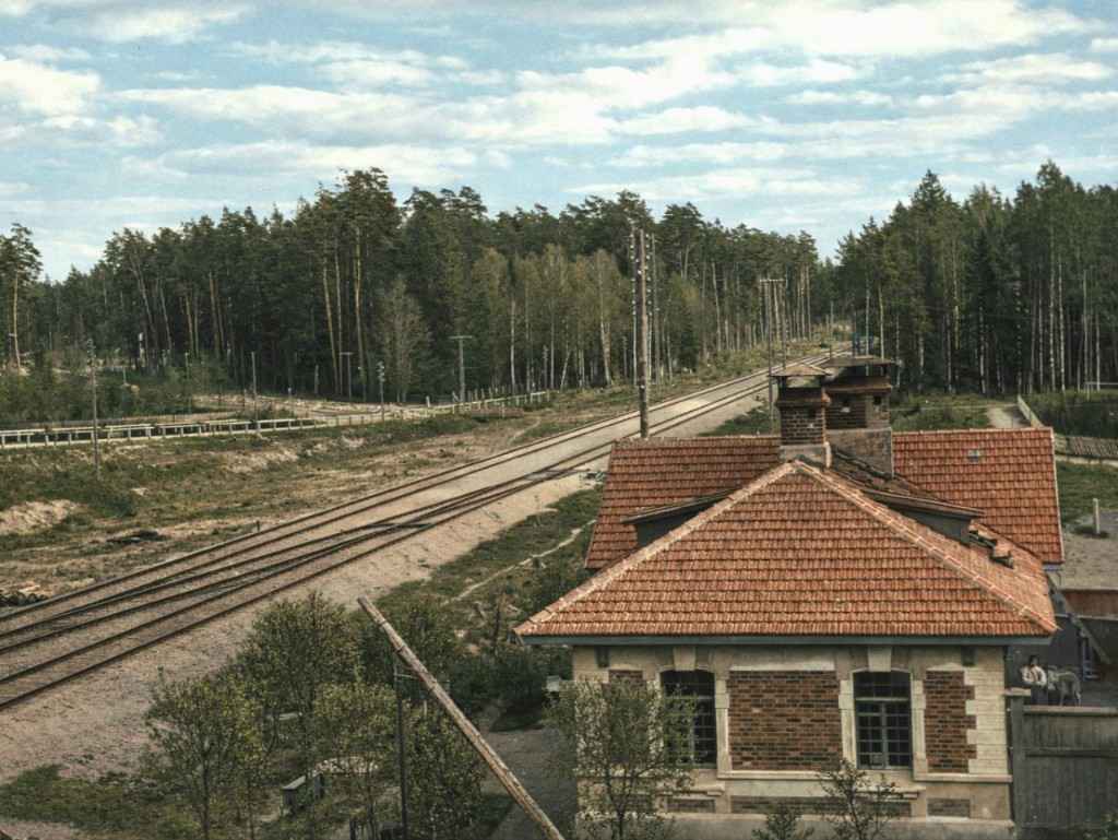 МЖД 1913, Дневник инвалида Саши