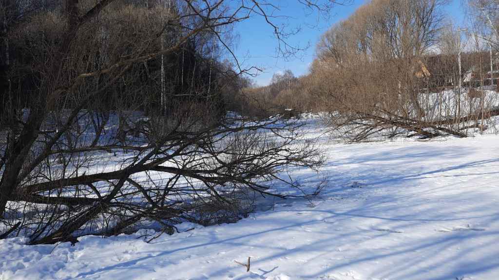 Дача, 2022, Дневник инвалида Саши