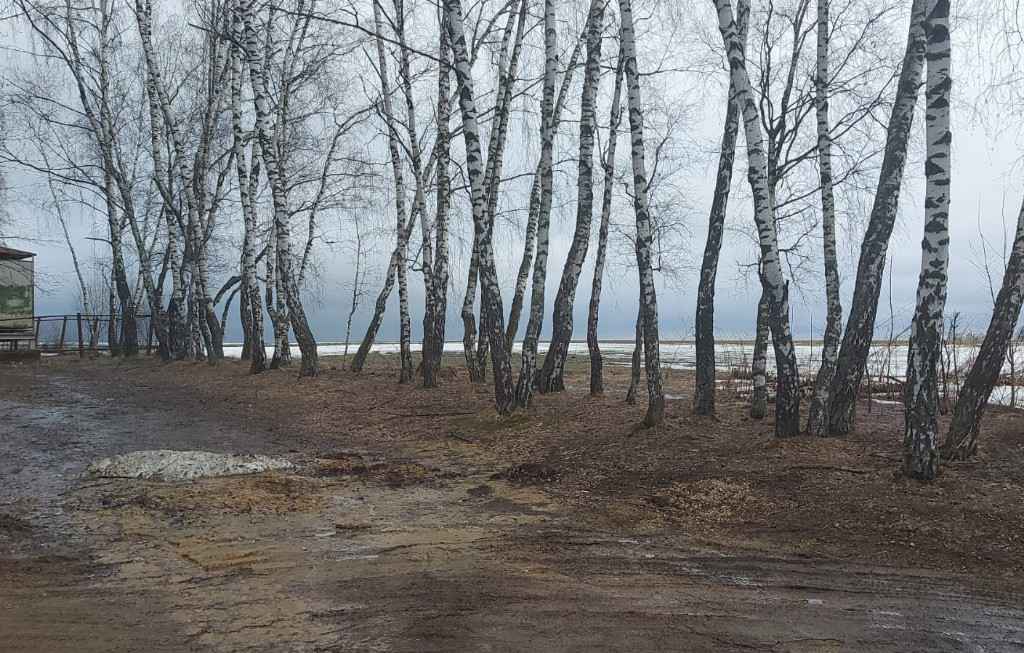 Дача, 2022, Дневник инвалида Саши