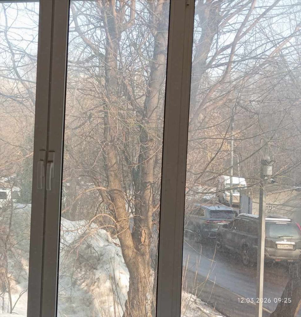 Куча снега, 2026, Дневник инвалида Саши