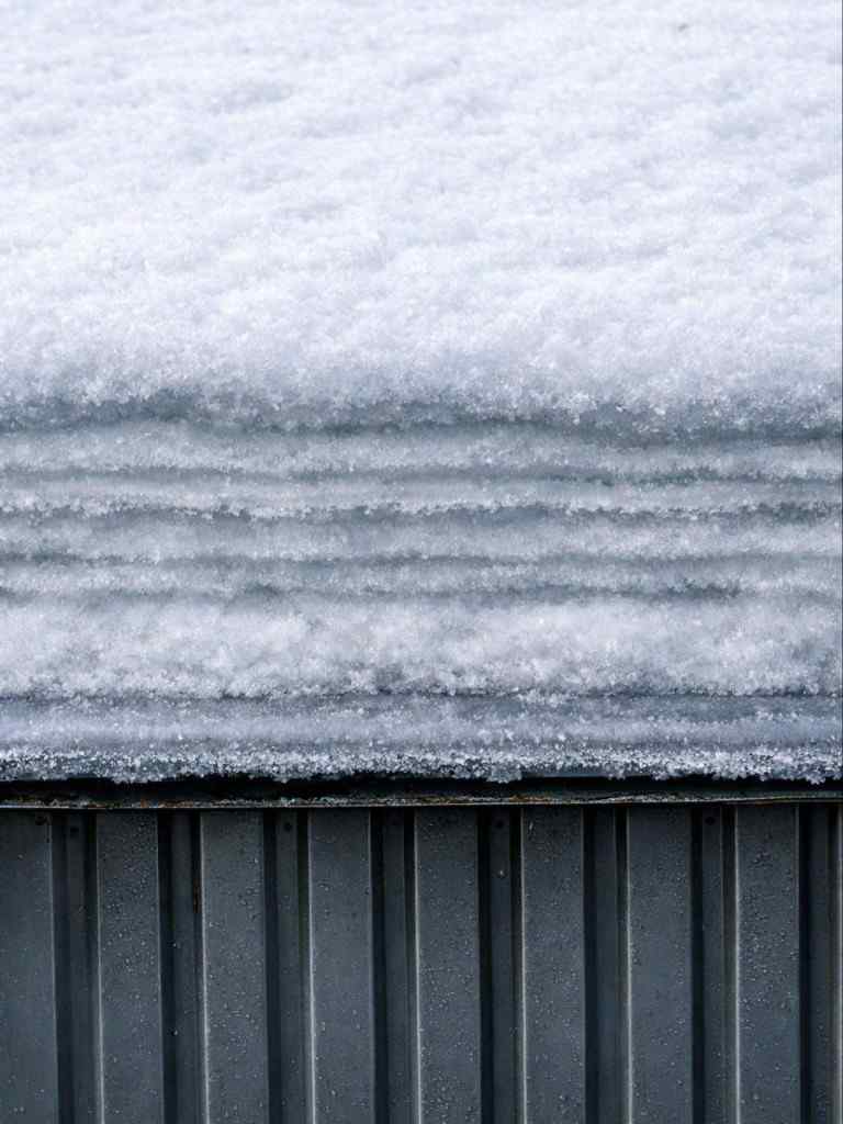 Слои, 2026, Дневник инвалида Саши