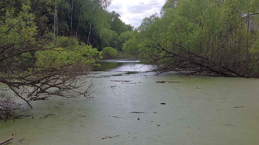 Дача, 2022, Дневник инвалида Саши