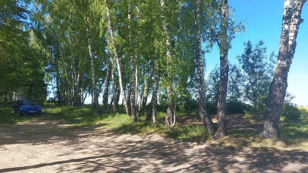 Дача, 2022, Дневник инвалида Саши