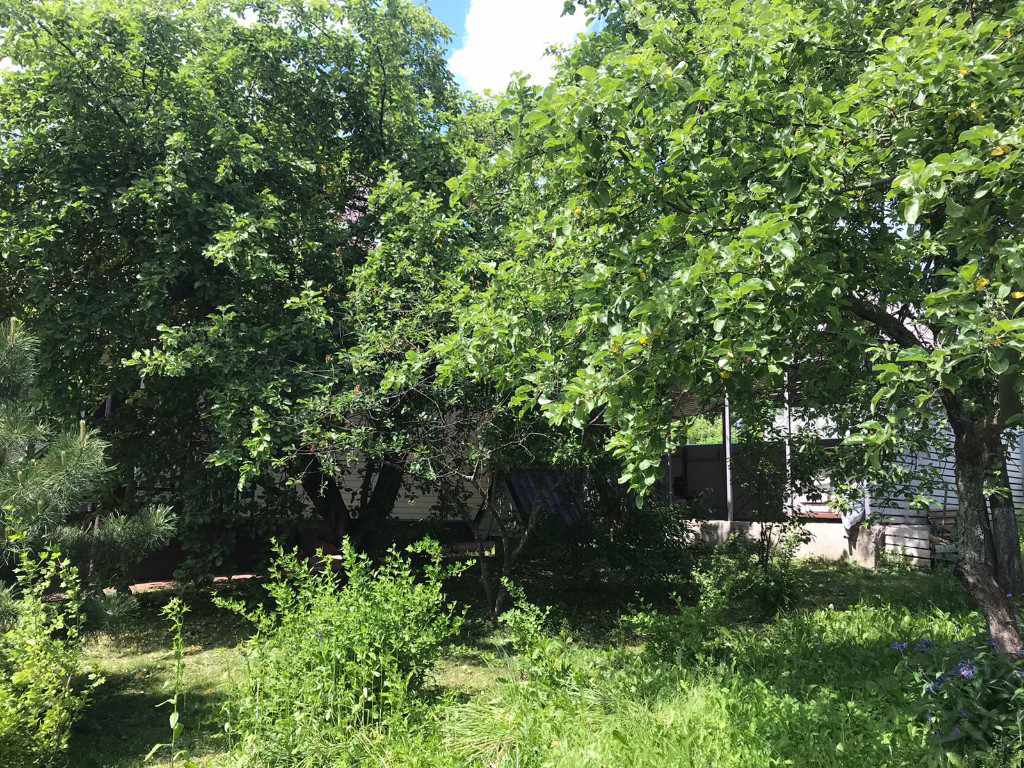 Дача, 2022, Дневник инвалида Саши