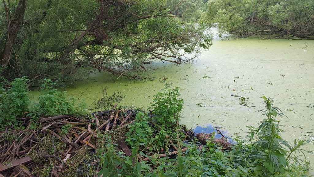 Дача, 2022, Дневник инвалида Саши