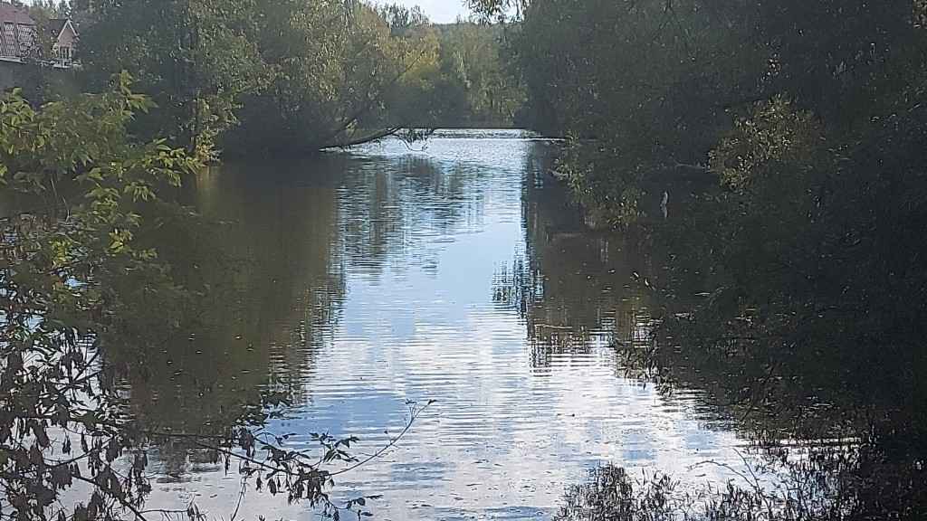 Дача, 2022, Дневник инвалида Саши