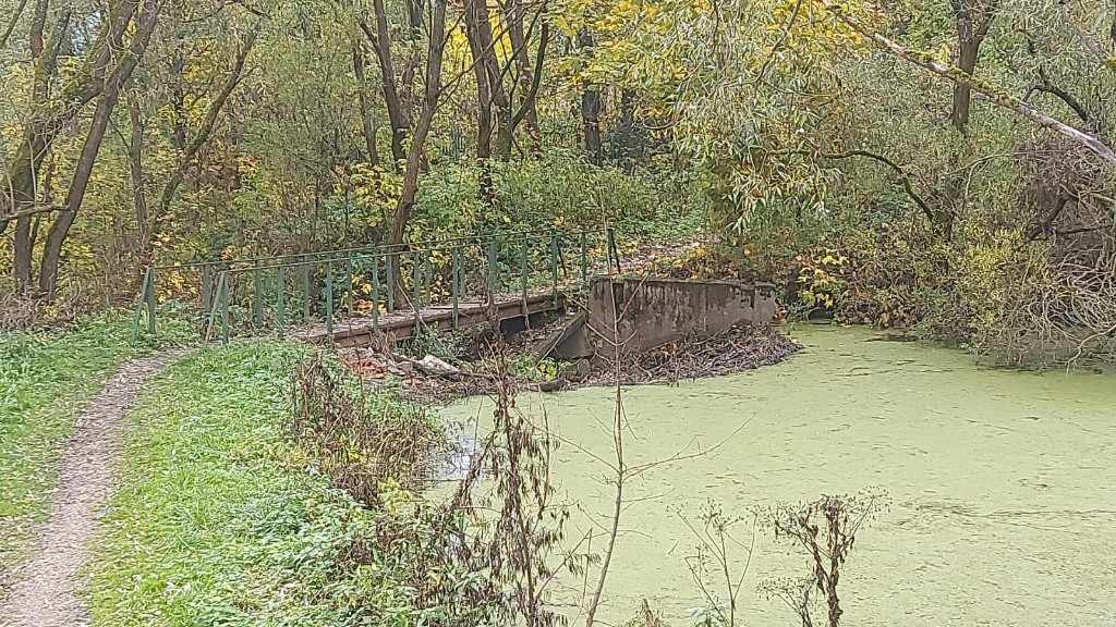 Дача, 2022, Дневник инвалида Саши