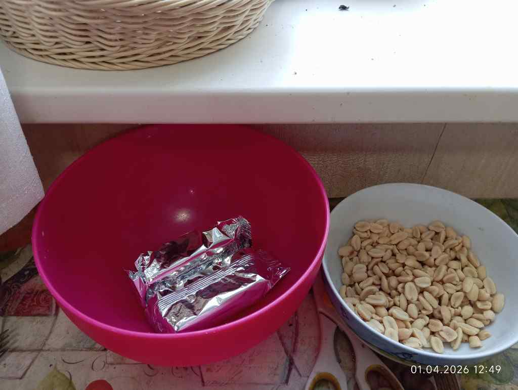 Завтрак, 2026, Дневник инвалида Саши