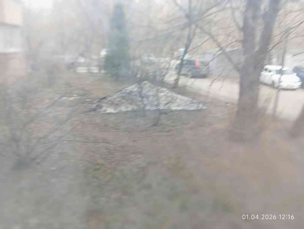 Куча, 2026, Дневник инвалида Саши