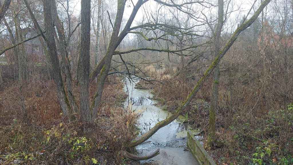 Дача, 2022, Дневник инвалида Саши