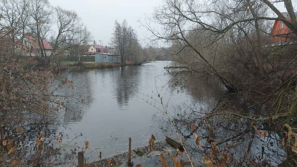 Дача, 2022, Дневник инвалида Саши