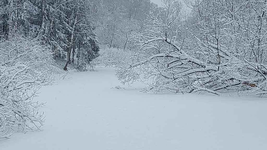 Дача, 2022, Дневник инвалида Саши