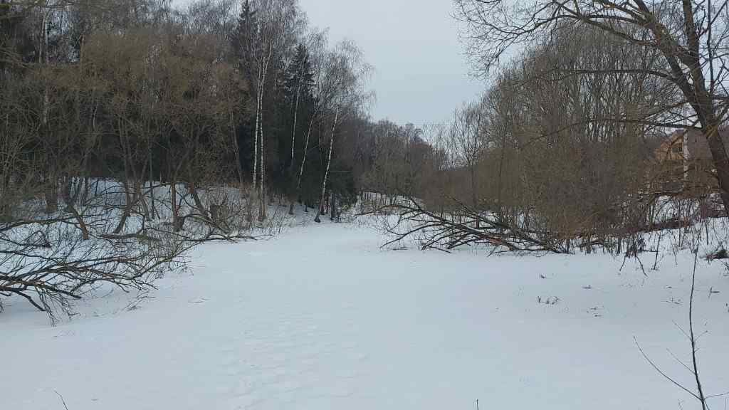 Дача, 2023, Дневник инвалида Саши