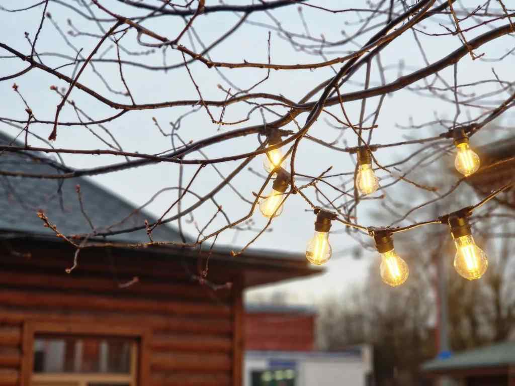 Пасха, 2026, Дневник инвалида Саши