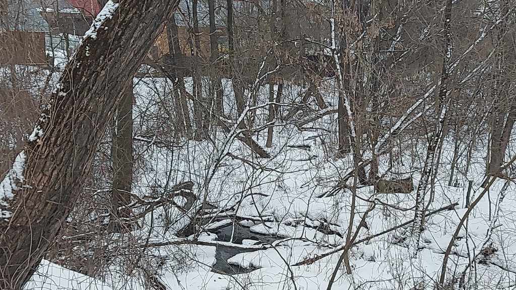 Дача, 2023, Дневник инвалида Саши