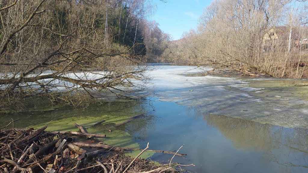 Дача, 2023, Дневник инвалида Саши