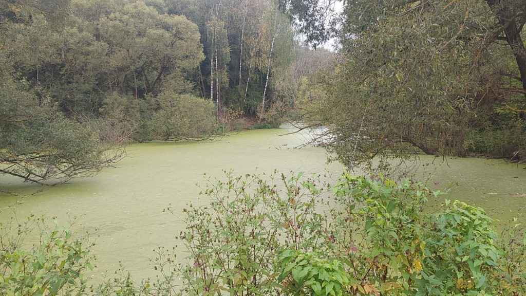 Дача, 2023, Дневник инвалида Саши