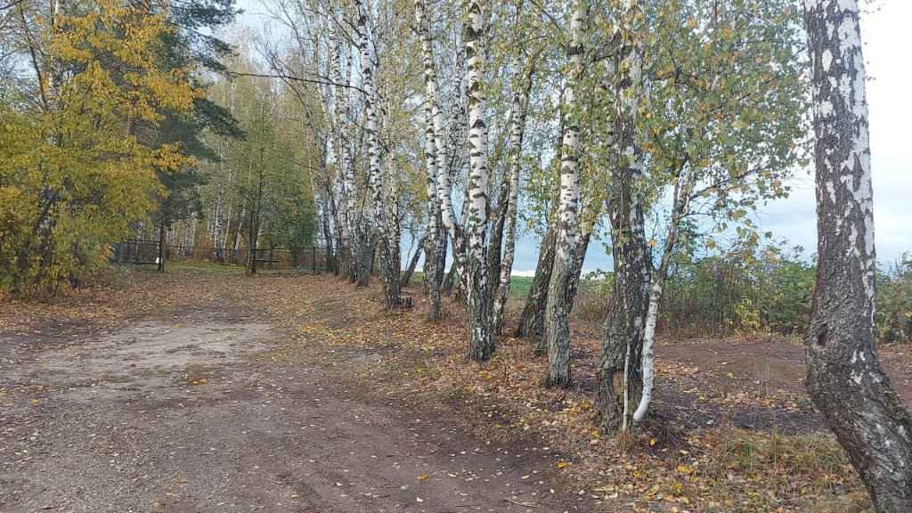 Дача, 2023, Дневник инвалида Саши