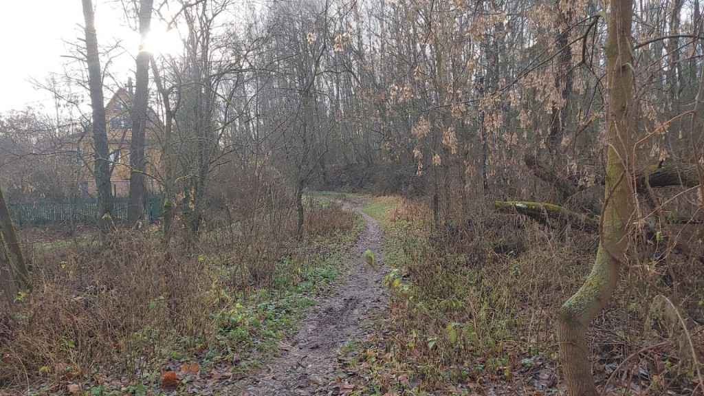 Дача, 2023, Дневник инвалида Саши