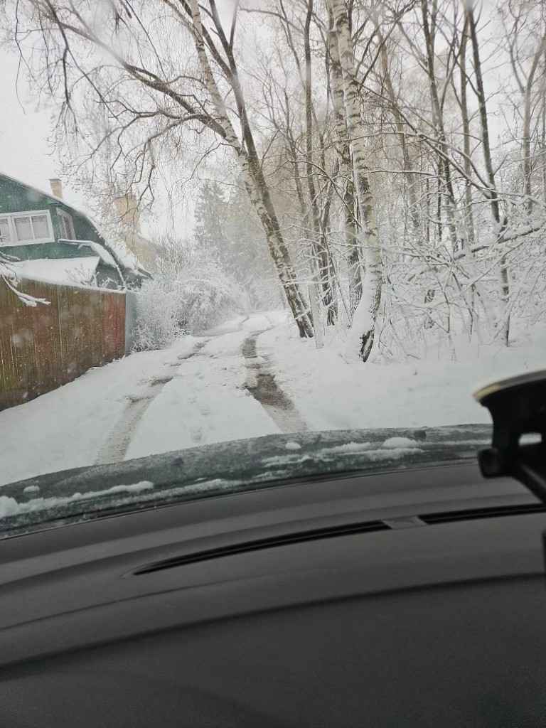Весенний снег, 2026, Дневник инвалида Саши