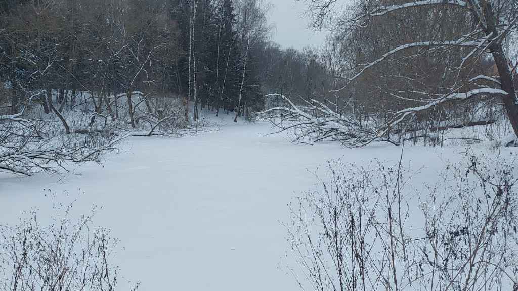 Дача, 2023, Дневник инвалида Саши