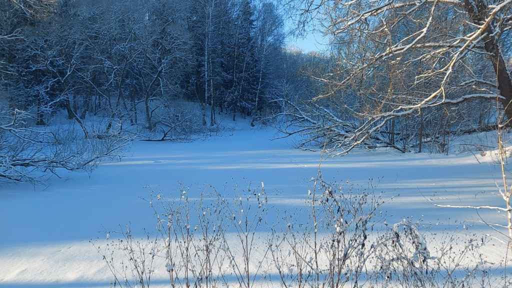 Дача, 2024, Дневник инвалида Саши