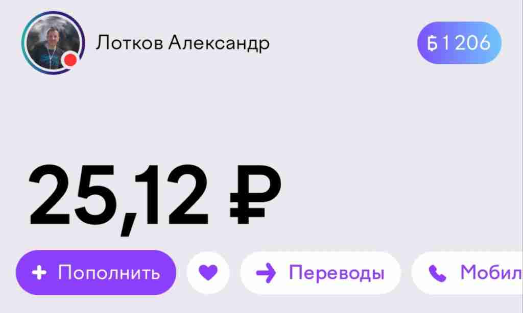 Счёт, 2026, Дневник инвалида Саши