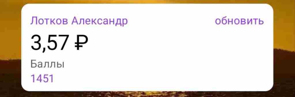 Счёт, 2026, Дневник инвалида Саши