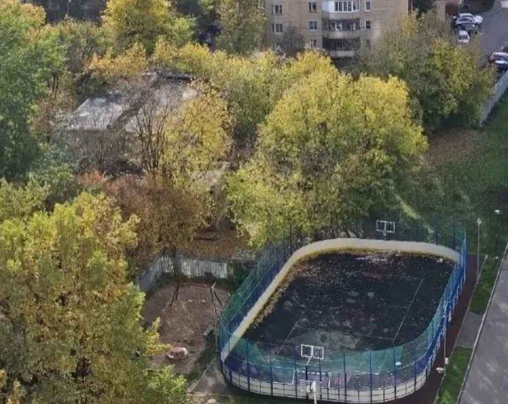 ЖК "Лосиный остров", 2026, Дневник инвалида Саши