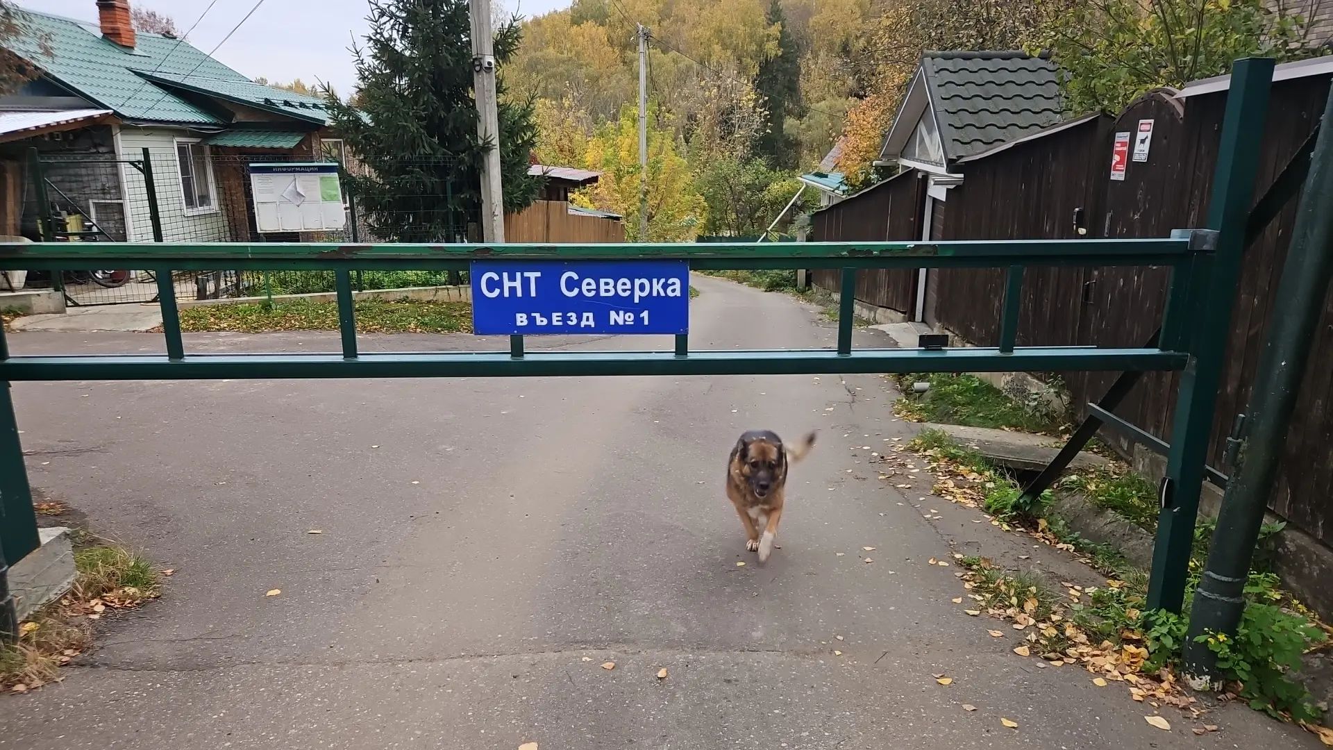 Осень 2026 — Октябрь (фотографии СНТ Северка)